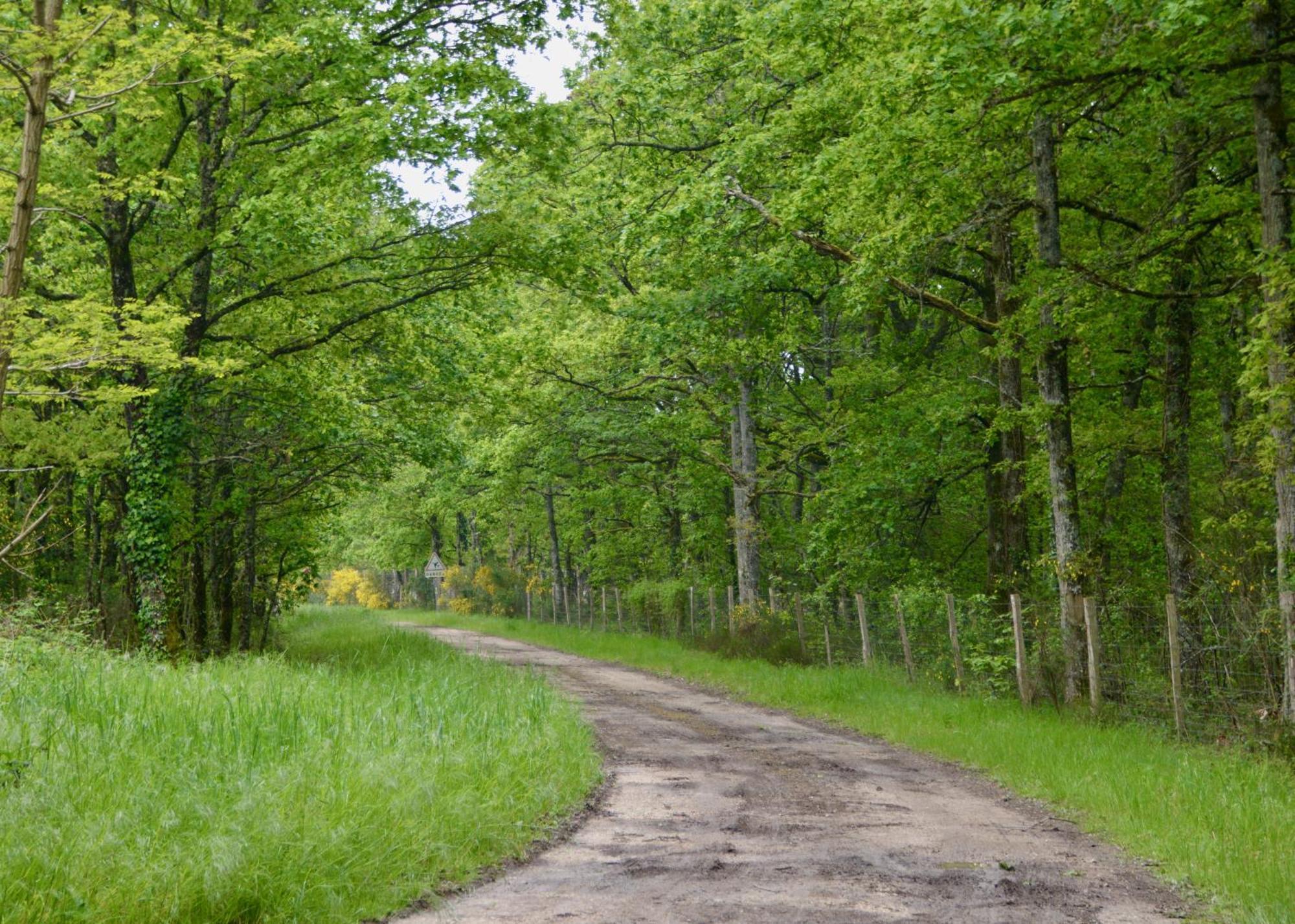 Gite De Charme En Sologne, Sejour En Famille, Jardin, Riviere, Jeux, Nature & Detente Aubigny-sur-Nère Екстериор снимка